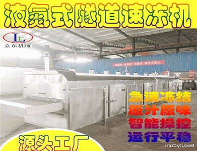 魷魚隧道式速凍機